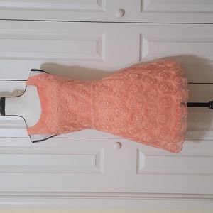 Embroidered lace dress